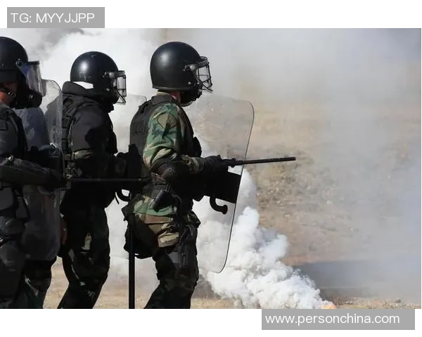 尼日利亚与阿尔及利亚激战正酣比分揭晓引发热议