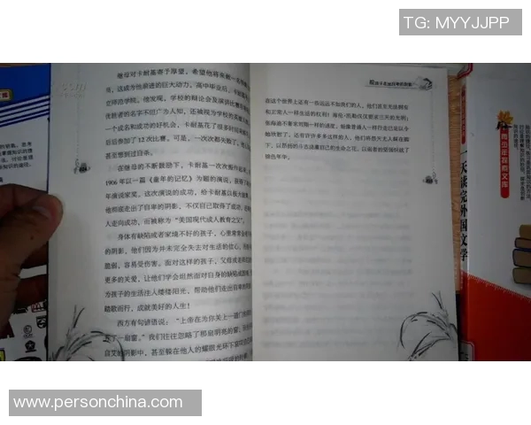 恩佐的成长之路：从初出茅庐到行业翘楚的奋斗历程与启示