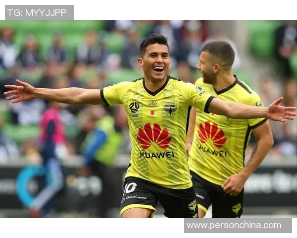 2019年布里斯狮与惠灵顿精彩对决回顾与分析